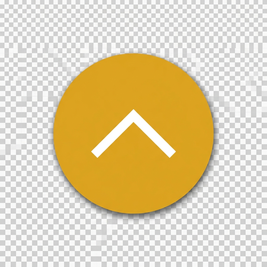 Scroll to Top